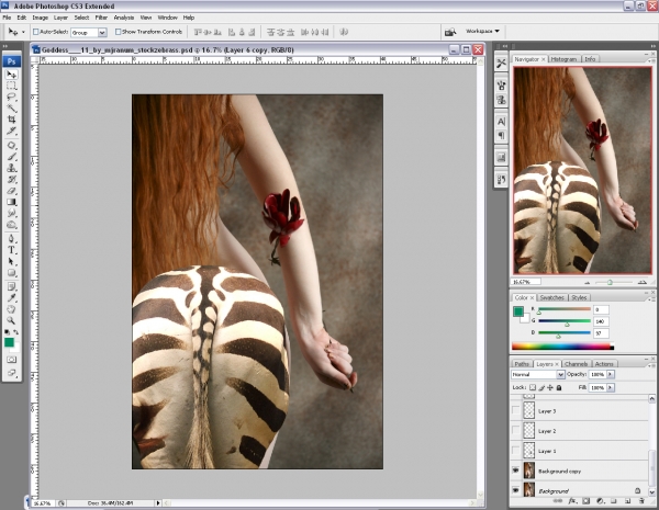 Creation of Stripped or striped?: Step 1